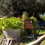 6 Posti Letto Con Giardino Vicino Al Mare