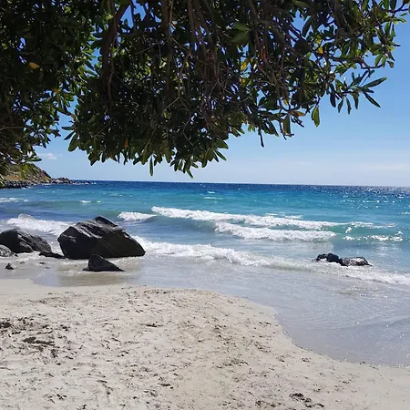 6 Posti Letto Con Giardino Vicino Al Mare